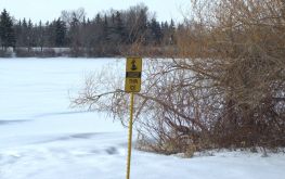 Check your cannabis use